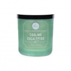 DW Home Vonná svíčka ve skle Svěží eukalyptus - Cooling Eucalyptus, 9,5oz